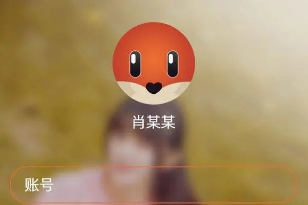 探探币怎么退款?